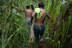 Anistia Internacional lança site que alerta sobre focos de tensão na Amazônia