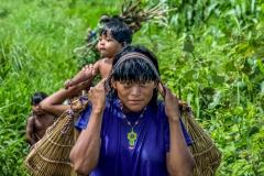 No Mato Grosso, iniciativa de mulheres Xavante resgata alimentação tradicional