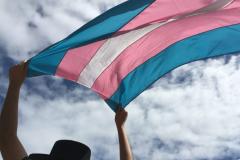 29 de janeiro: Um dia nacional de luta pela dignidade para pessoas trans