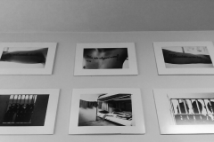 exposição