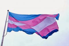 População transexual carcerária tem saúde desrespeitada em SP