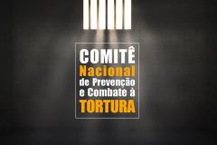 Comitê Nacional de Prevenção e Combate à Tortura (CNPCT)

Procedimento de escolha dos peritos do MNPCT