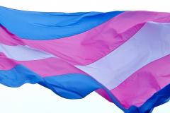 ONU Brasil abre chamada pública para 2ª edição de projeto Trans Formação