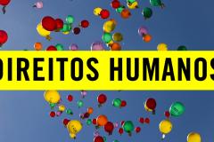 noticia anistia