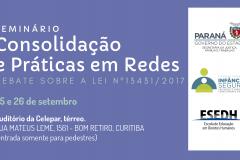 Seminário Consolidação e Práticas em Redes - Lei 13431/2017