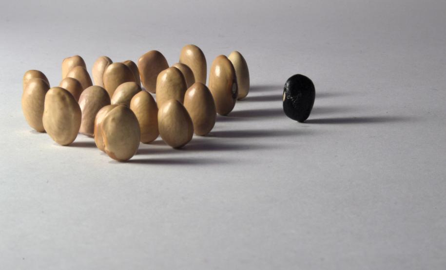 Nações Unidas discutem abordagem policial e racismo no Brasil