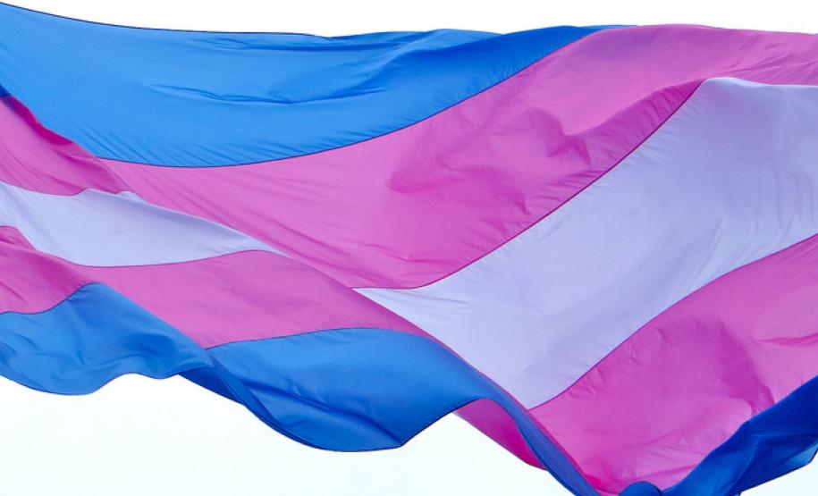 ONU Brasil abre chamada pública para 2ª edição de projeto Trans Formação