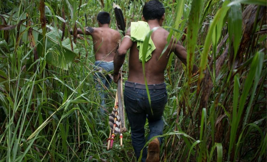Anistia Internacional lança site que alerta sobre focos de tensão na Amazônia