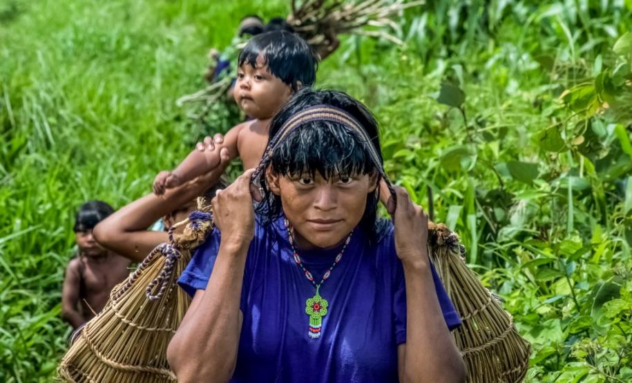 No Mato Grosso, iniciativa de mulheres Xavante resgata alimentação tradicional No Mato Grosso, iniciativa de mulheres Xavante resgata alimentação tradicional