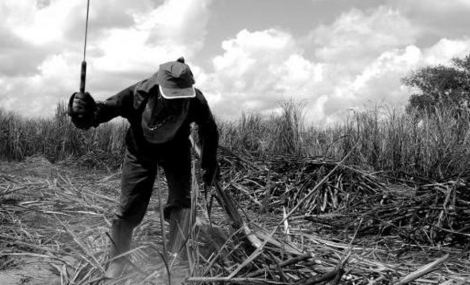 onu trabalho escravo